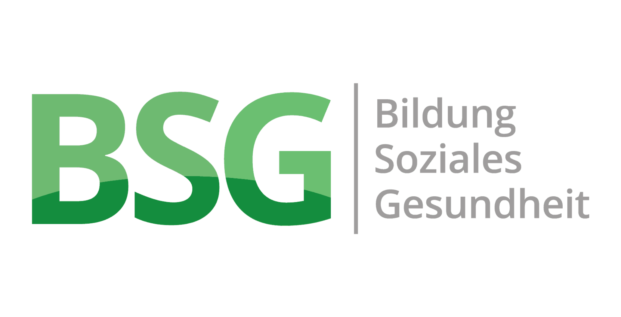 Logo BSG