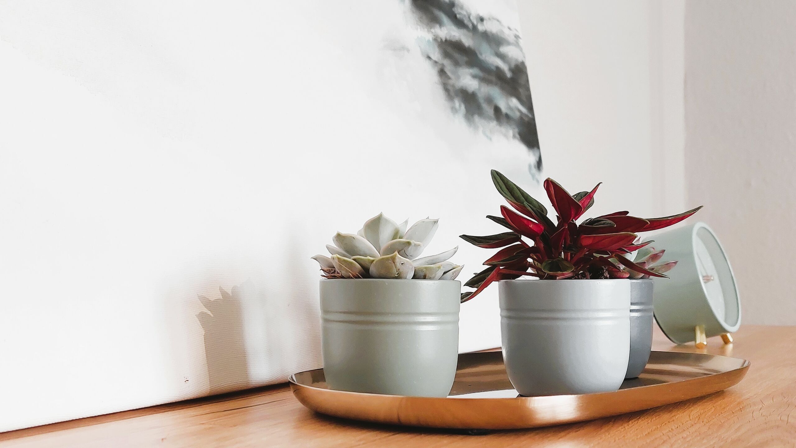 Work-Life-Balance Coaching & Beratung bei Julia Pedak